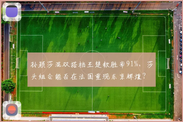 孙颖莎混双搭档王楚钦胜率91%，莎头组合能否在法国重现东京辉煌？